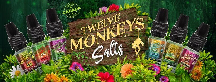 Twelve Monkeys Nicotine Salts Banner UK