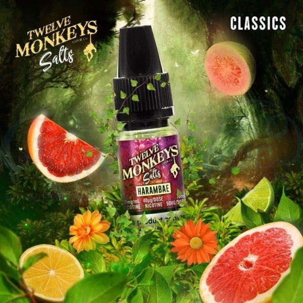 Twelve Monkeys Nicotine Salts UK - Image 13