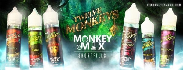 Twelve Monkeys E-liquid 50ml Short Fills UK - Image 4